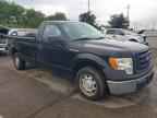 2010 FORD F-150 Lightning