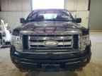 2009 FORD F-150