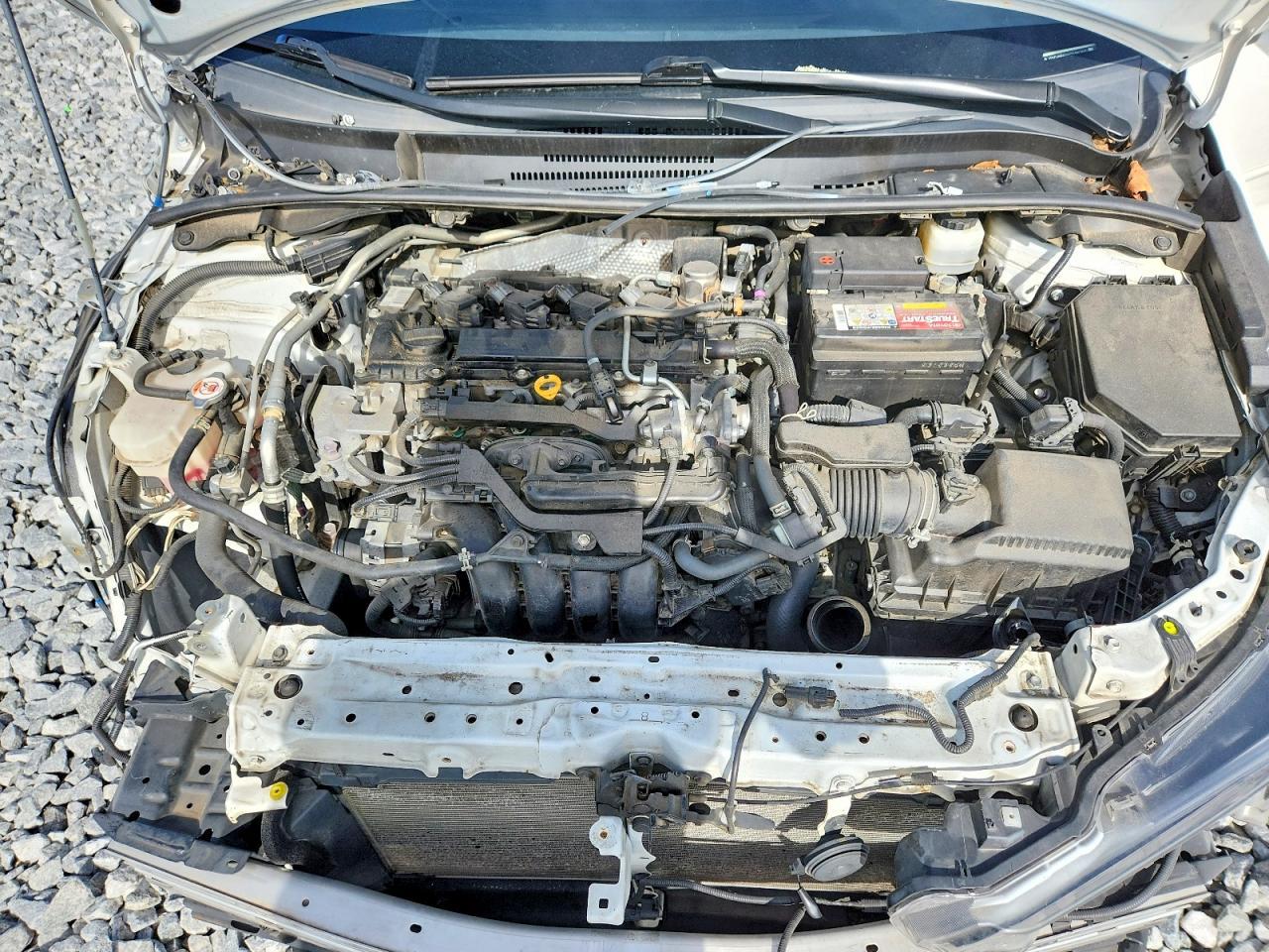 2023 TOYOTA COROLLA