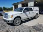 2013 FORD F-150 Lightning