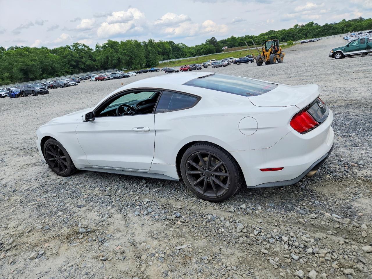 2019 FORD MUSTANG