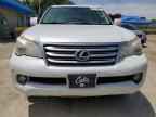 2012 LEXUS GX 460