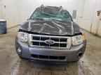 2010 FORD ESCAPE