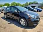 2013 KIA RIO