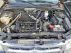 2009 FORD ESCAPE