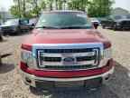 2013 FORD F-150 Lightning