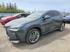 2026 LEXUS NX 350