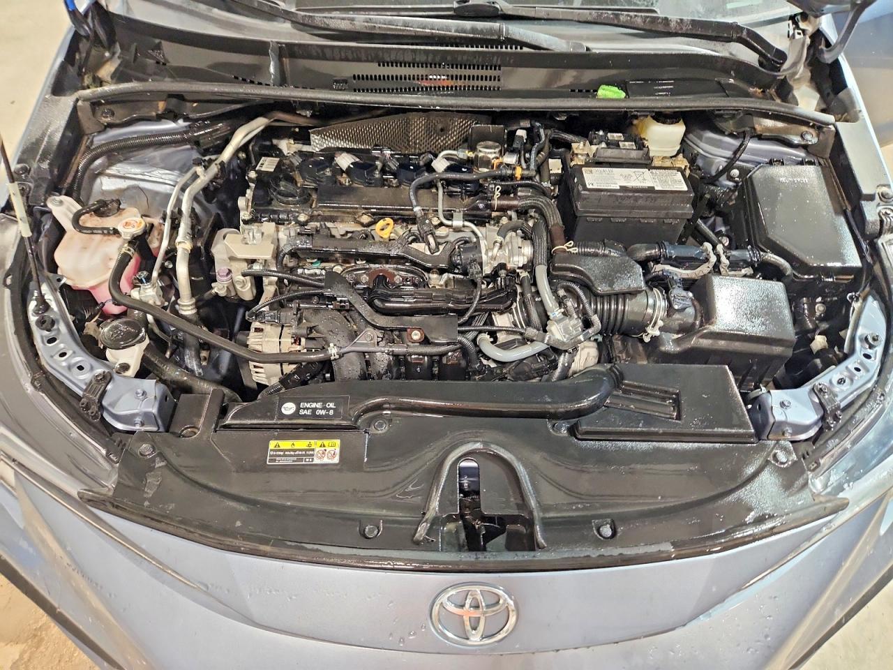 2023 TOYOTA COROLLA