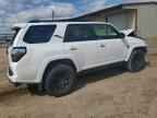 2024 TOYOTA 4Runner