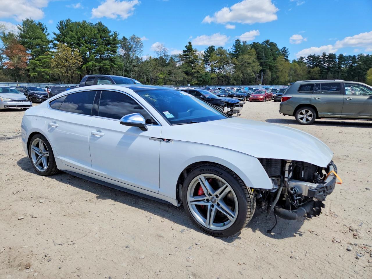 2019 AUDI S5