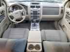 2009 FORD ESCAPE