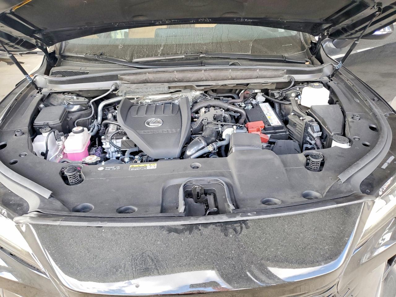 2025 LEXUS RX 350