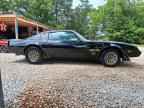 1979 PONTIAC Trans Am