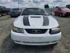 1999 FORD MUSTANG