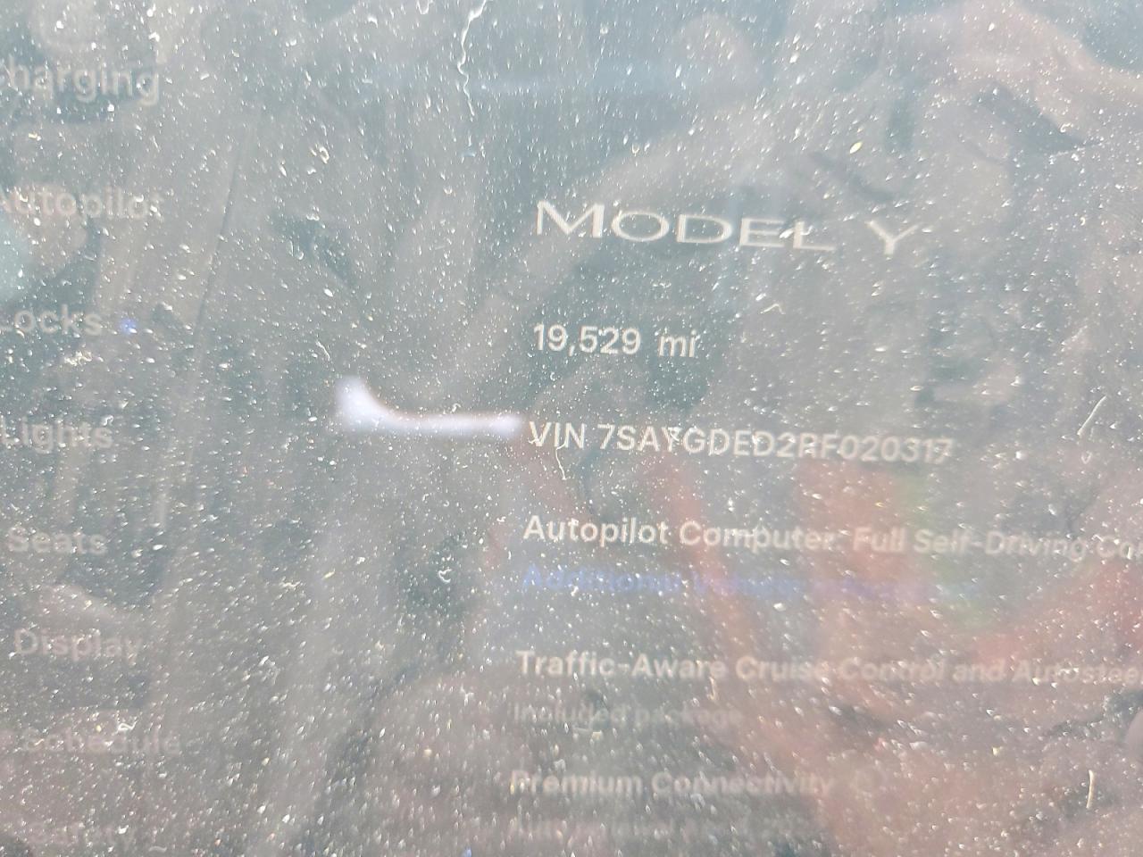 2024 TESLA MODEL Y