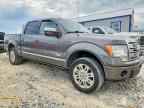 2014 FORD F-150 Lightning
