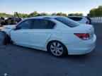 2010 HONDA ACCORD