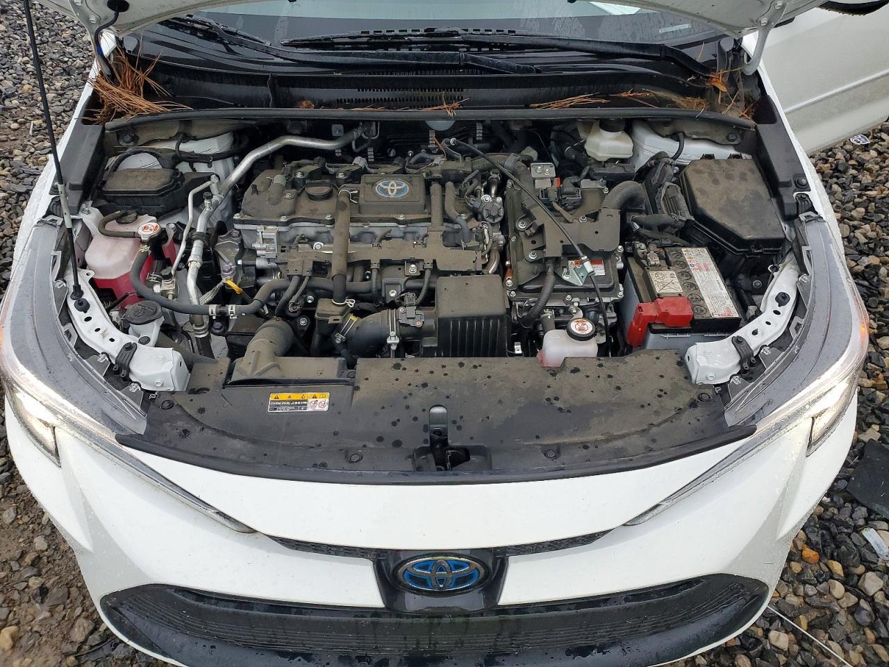 2024 TOYOTA COROLLA