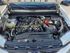 2024 FORD Maverick