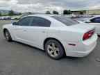 2014 DODGE CHARGER