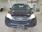 2010 HONDA CR-V