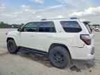 2024 TOYOTA 4Runner