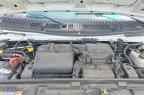2023 FORD Econoline E350