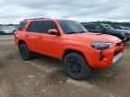 2024 TOYOTA 4Runner