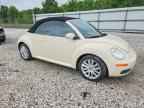 2009 VOLKSWAGEN Beetle