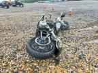 2021 HARLEY-DAVIDSON Fxst