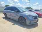 2023 HONDA ODYSSEY