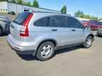 2010 HONDA CR-V