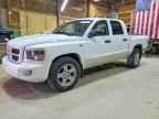 2011 DODGE Dakota