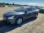 2013 NISSAN Maxima