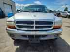 2004 DODGE Dakota