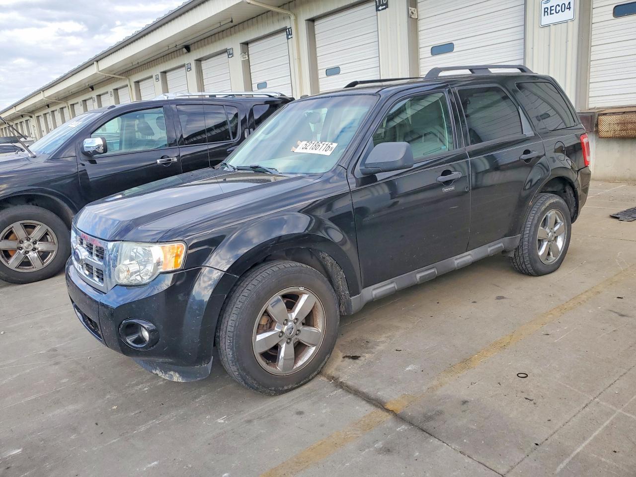 2009 FORD ESCAPE