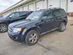 2009 FORD ESCAPE