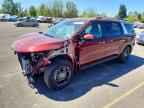 2026 KIA Carnival