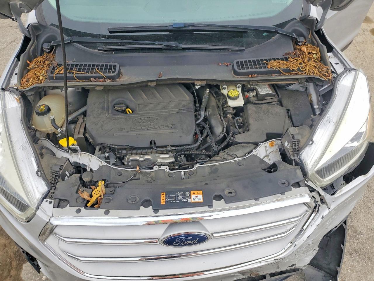 2019 FORD ESCAPE