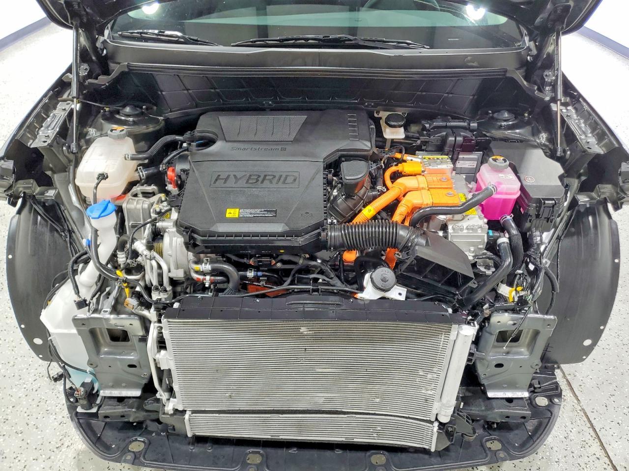 2026 KIA Niro