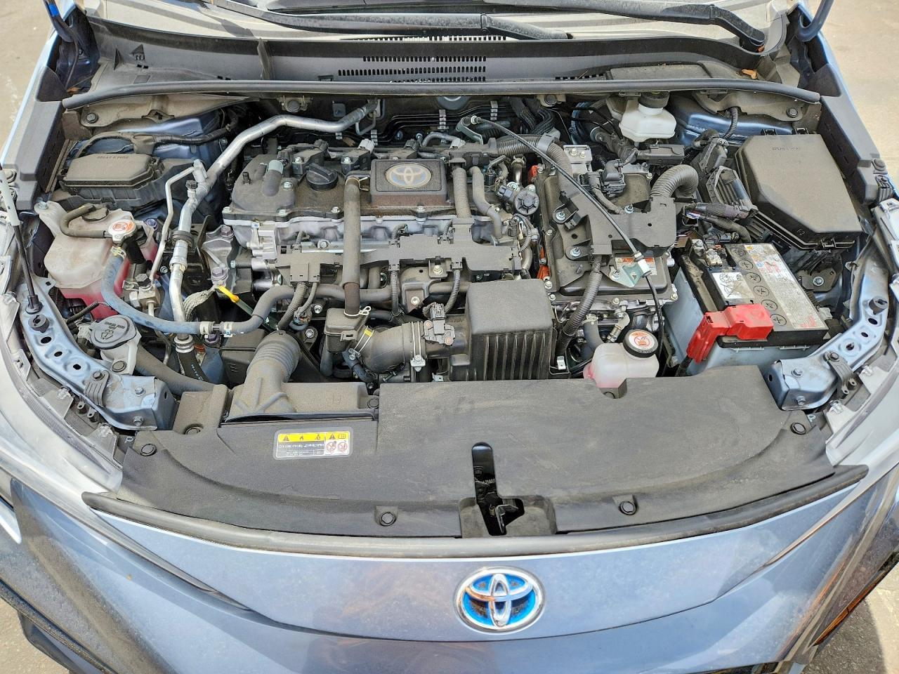 2024 TOYOTA COROLLA