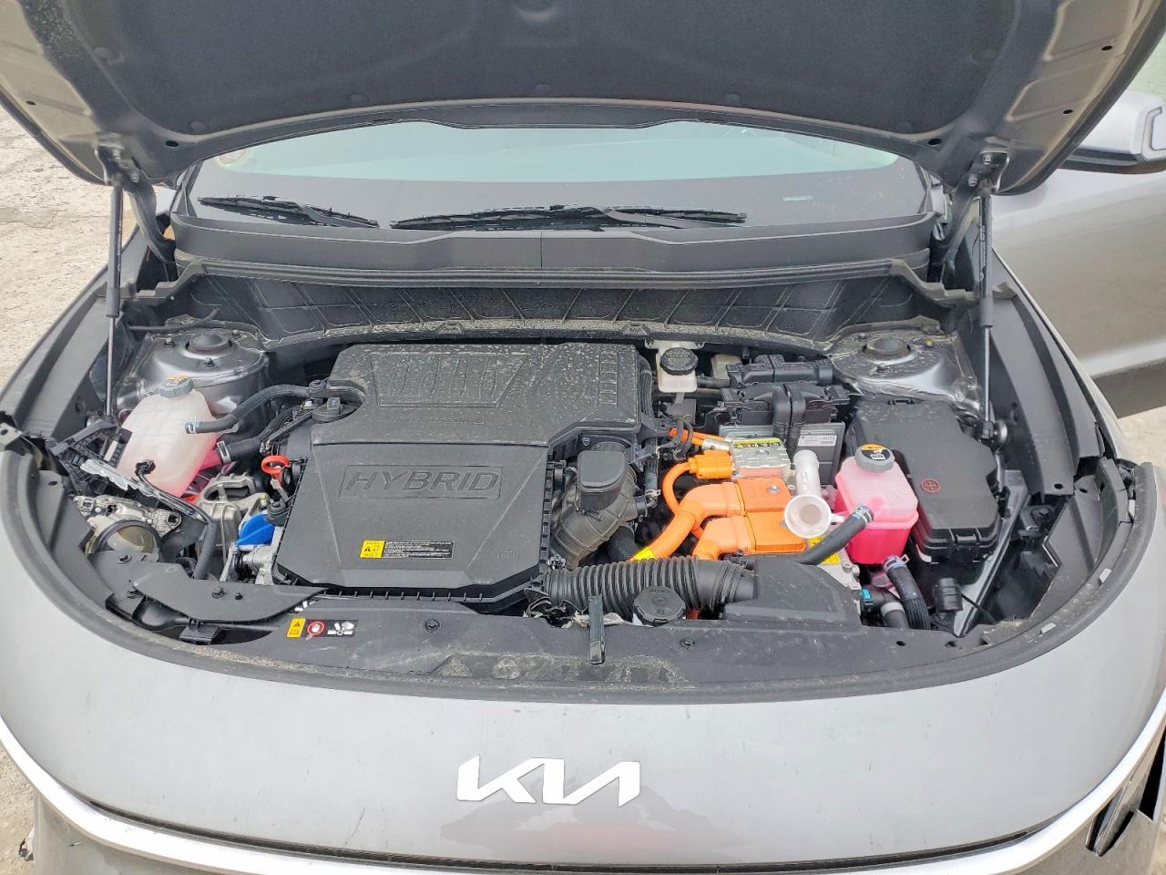 2025 KIA Niro