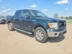 2013 FORD F-150 Lightning
