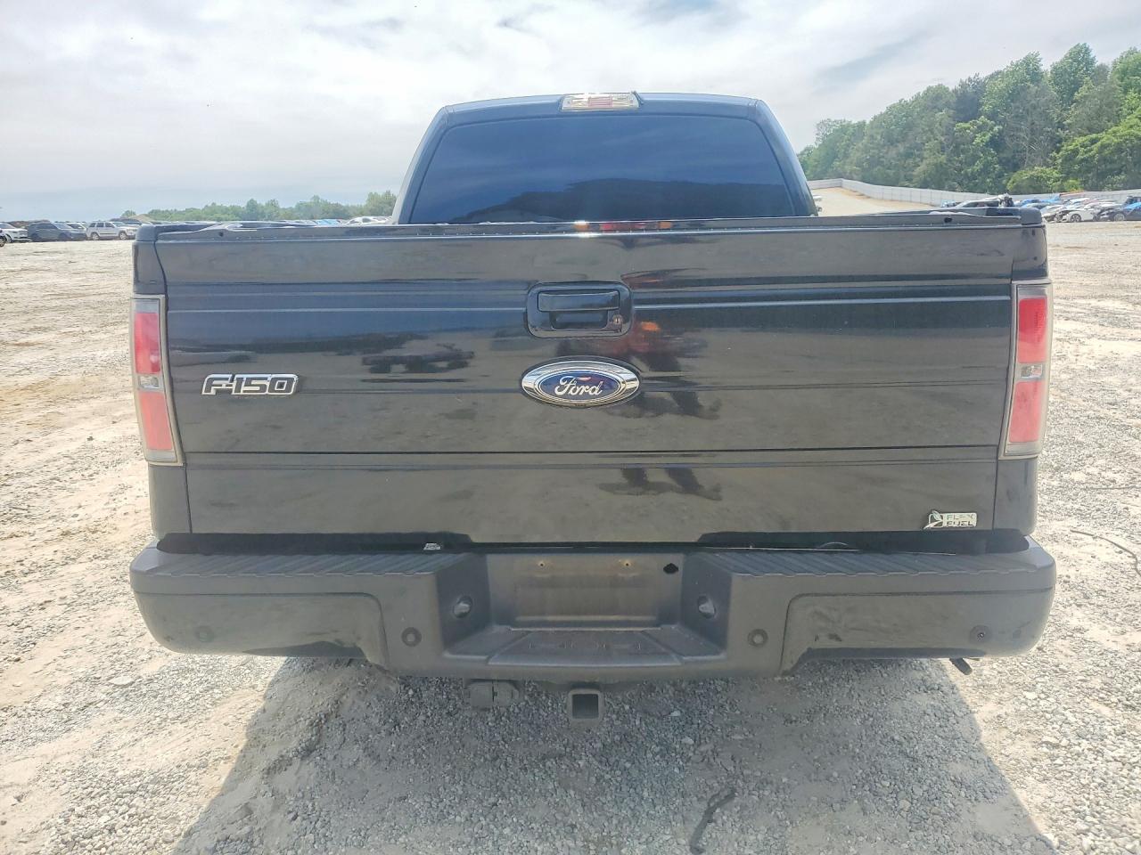 2010 FORD F-150 Lightning