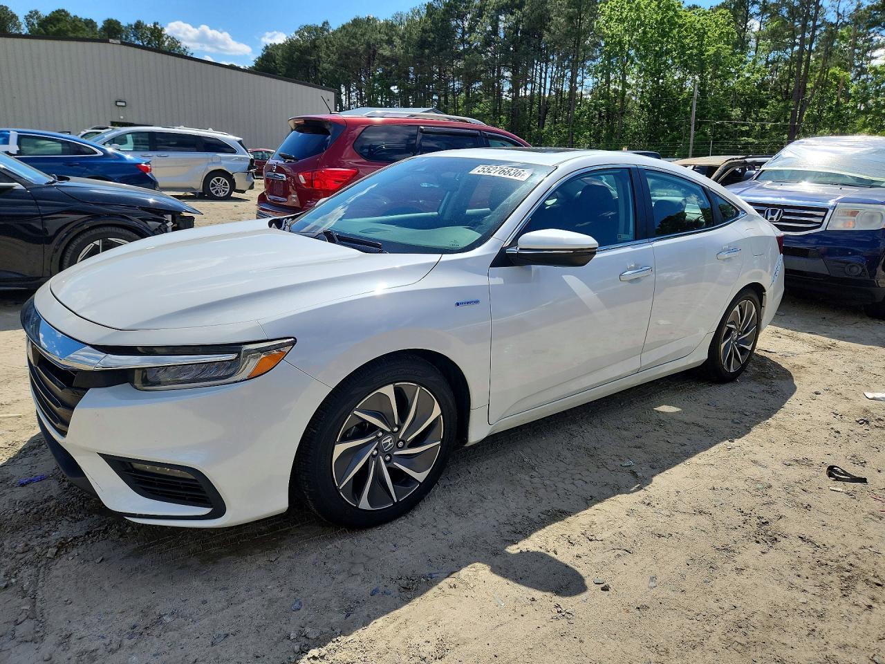 2019 HONDA Insight