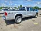 2004 DODGE Dakota