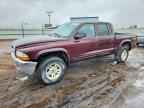 2004 DODGE Dakota