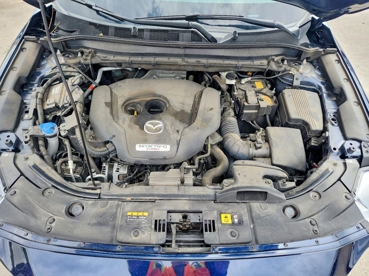 2024 MAZDA CX-5