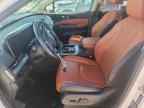 2024 KIA Carnival