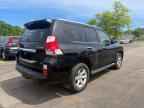 2010 LEXUS GX 460